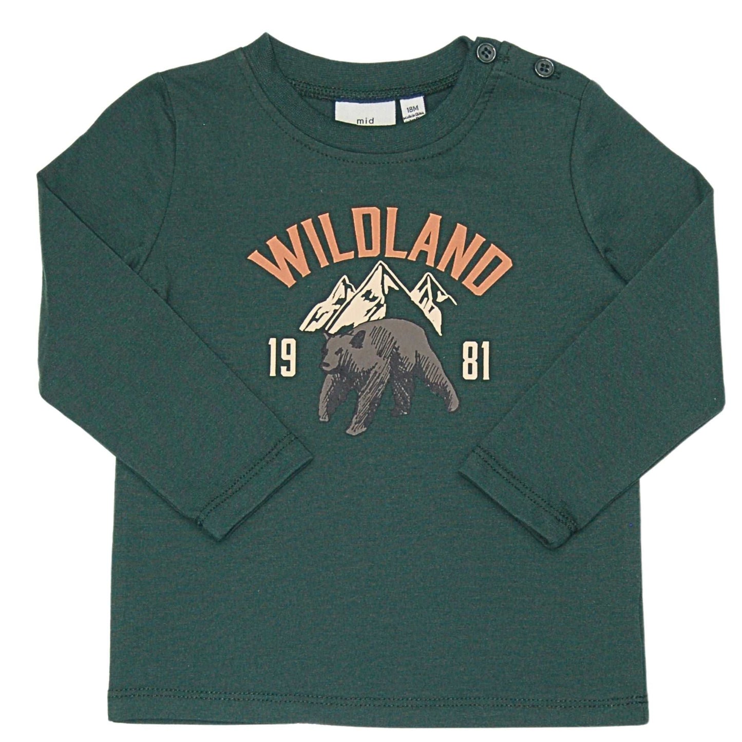 Chandail Ours Vert