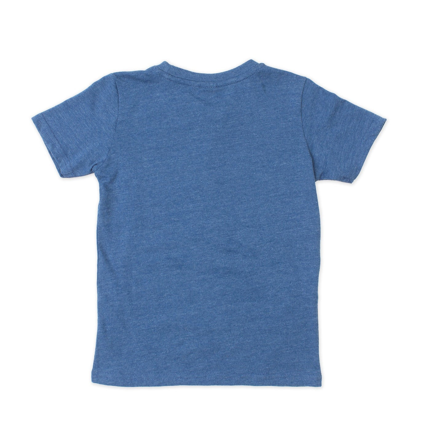 T-shirt Dinosaures