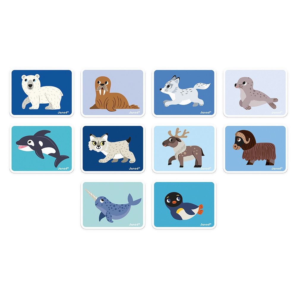 Livre Magnétique -Magneti'Book- ANIMAUX POLAIRES