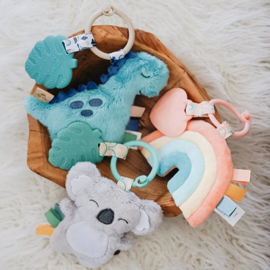 Jouet peluche & dentition